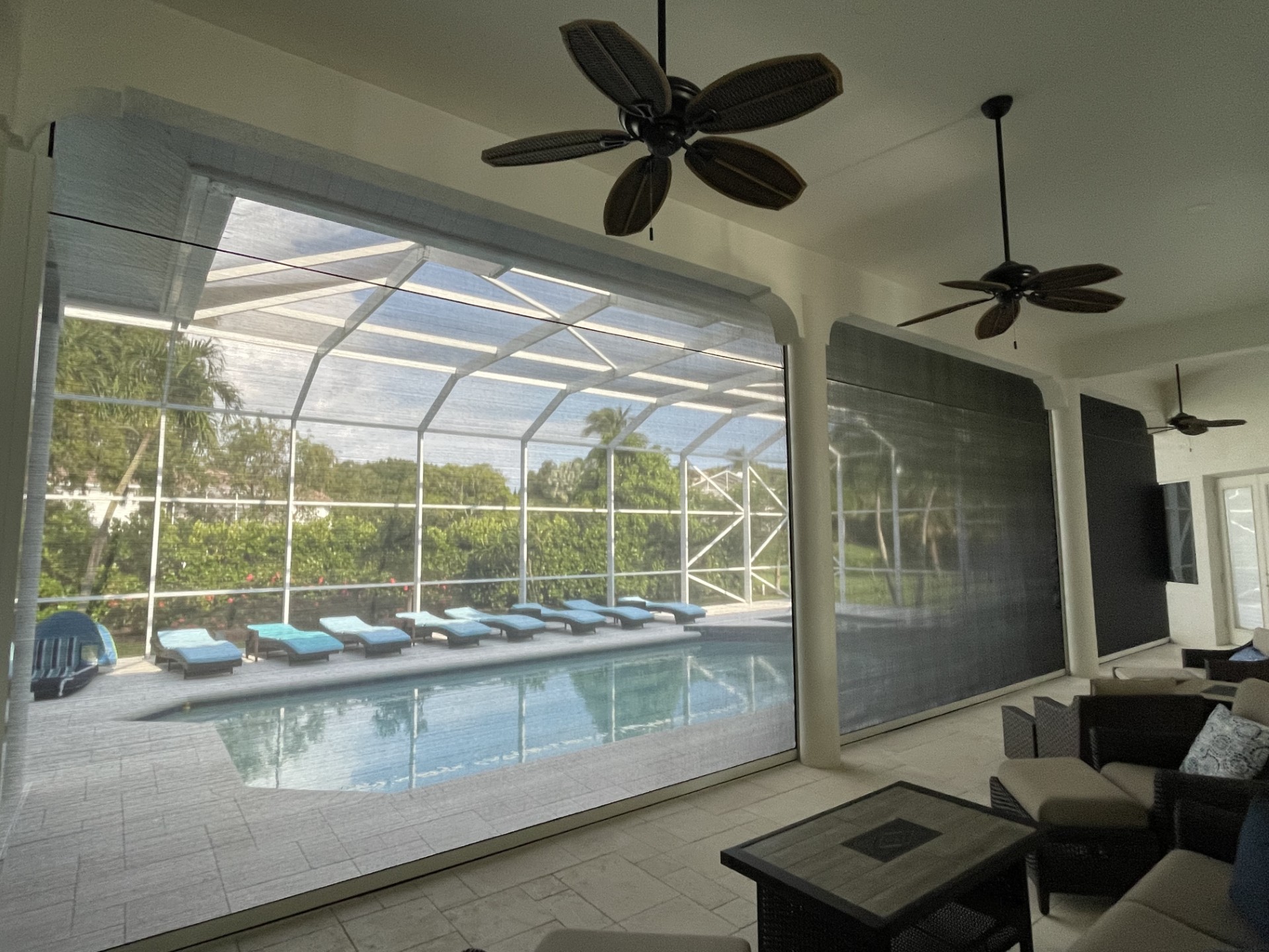 Kevlar lanai screen Inside Looking Out